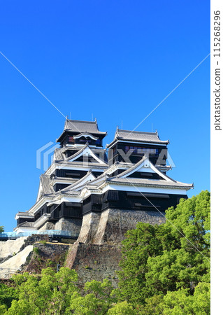 [Kumamoto Prefecture] Kumamoto Castle (main and small towers) on a clear day 115268296