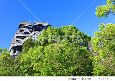 [Kumamoto Prefecture] Kumamoto Castle (main and small towers) on a clear day 115268300