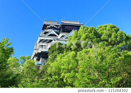 [Kumamoto Prefecture] Kumamoto Castle (main and small towers) on a clear day 115268302