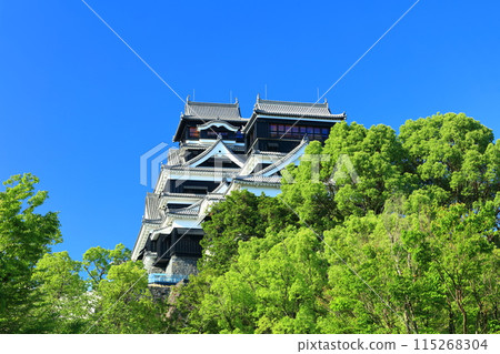 [Kumamoto Prefecture] Kumamoto Castle (main and small towers) on a clear day 115268304