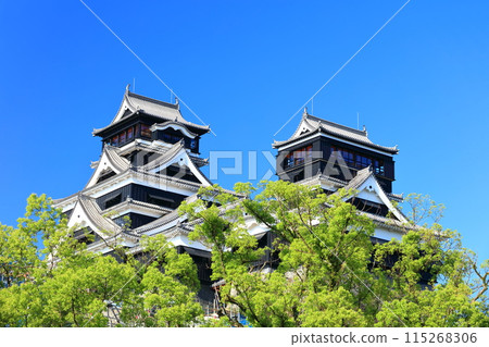 [Kumamoto Prefecture] Kumamoto Castle (main and small towers) on a clear day 115268306