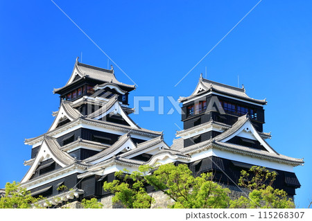 [Kumamoto Prefecture] Kumamoto Castle (main and small towers) on a clear day 115268307