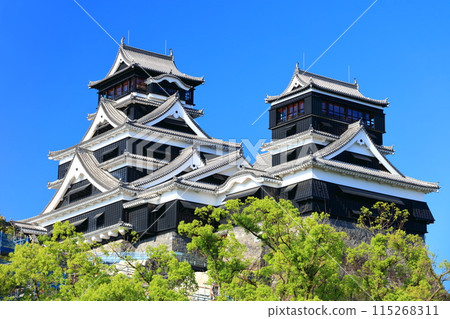 [Kumamoto Prefecture] Kumamoto Castle (main and small towers) on a clear day 115268311