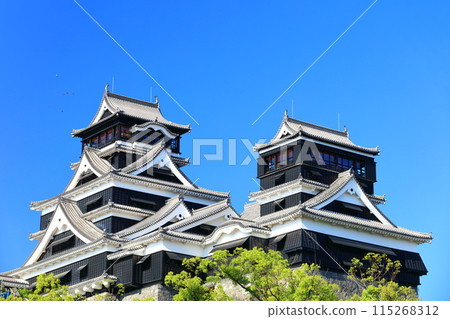 [Kumamoto Prefecture] Kumamoto Castle (main and small towers) on a clear day 115268312