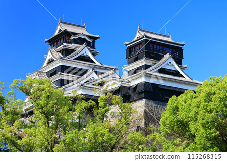[Kumamoto Prefecture] Kumamoto Castle (main and small towers) on a clear day 115268315