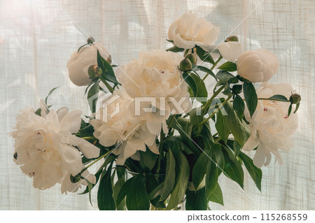 Paeonia suffruticosa in a vase in home. Floristic design. Romantic flowers. Showy white peonys.  Spring Blossom. 115268559