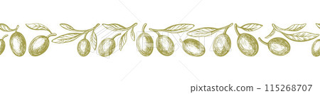 Olive branch pattern. Vector ornament. Art sketch 115268707