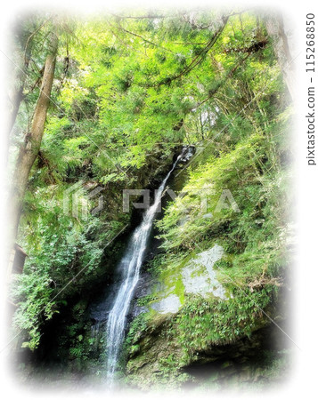 A small waterfall flowing through the forest A small waterfall flowing through the forest 115268850