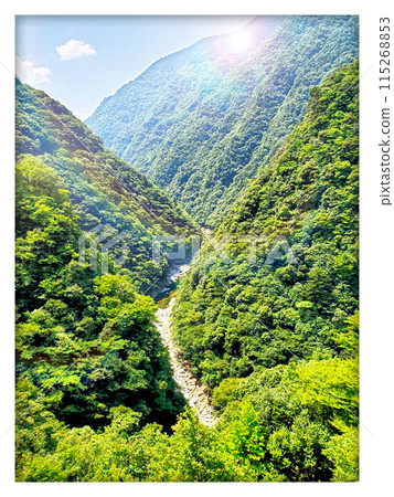 The beautiful fresh greenery of the Iya mountains The beautiful fresh greenery of the Iya mountains 115268853