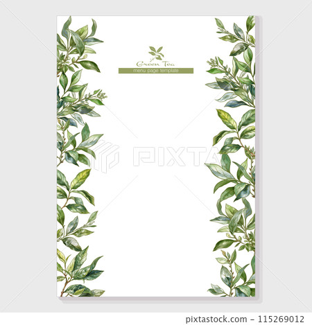 Green tea branch with leaves  115269012