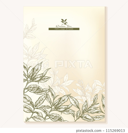 Green tea branch with leaves  115269013