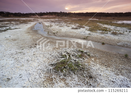 Saltpeter on the floor of a lagoon in a semi desert environment, La Pampa province, Patagonia, Argentina. 115269211