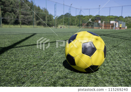 Close up on a football ball on the football field 115269240