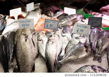 Colorful choice of fish at a market in Spain. Closeup of fish on display in a fish market, food concept. Fresh raw dorado 115269636