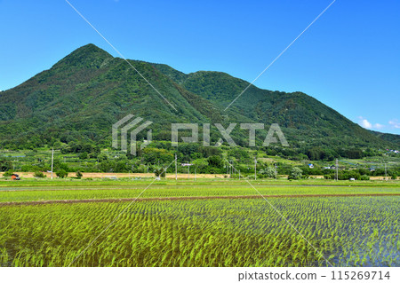 從飯山市仁眺望高車山（長野縣飯山市） [2024.6] 115269714