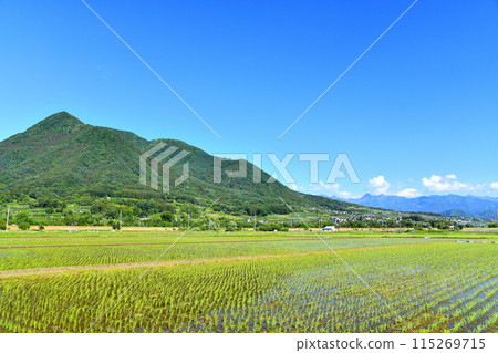 從飯山市仁眺望高車山（長野縣飯山市） [2024.6] 115269715