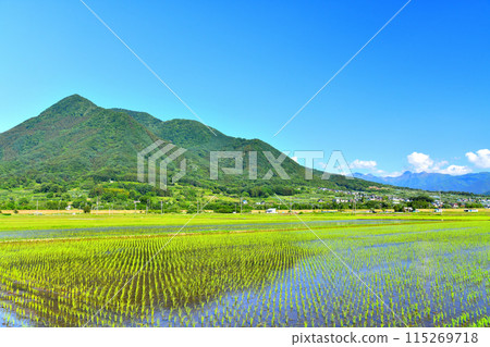 View towards Takayashiroyama from Hasu, Iiyama City (Iiyama City, Nagano Prefecture) [2024.6] 115269718