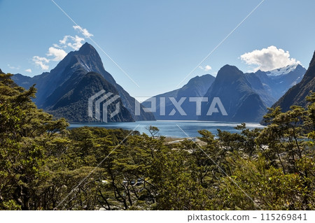 Landscape in New Zealand Fjordland 115269841
