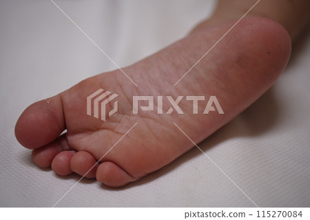 足部 足部 115270084