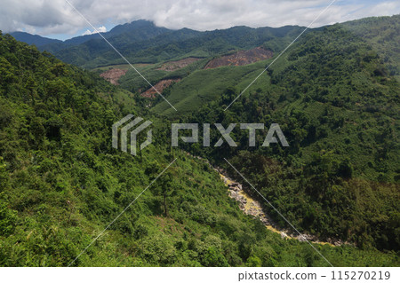 the tree mountain view before from banahill cable car the tree mountain view before from banahill cable car 115270219