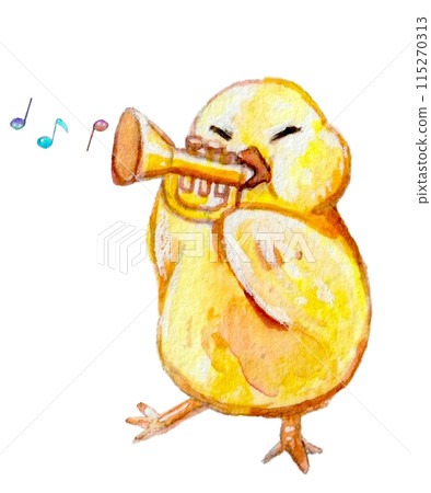 Trumpeting Chick 115270313