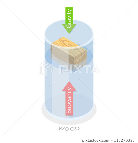 3D Isometric Flat Illustration of Buoyancy Force, Physics Educational Experiment. Item 1 3D Isometric Flat Illustration of Buoyancy Force, Physics Educational Experiment. Item 1 115270353