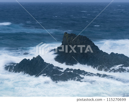 北海道禮文島須古頓岬海岸的岩石 / 日本北海道禮文島 115270699