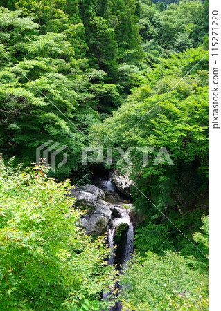 德島縣神山町姬瀑布 115271220