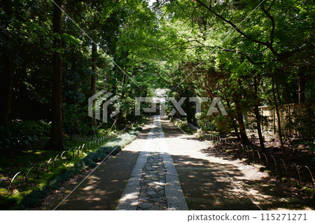 Kamakura Jufukuji Temple Approach Kamakura Jufukuji Temple Approach 115271271