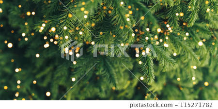 A close-up of a young fir branch with a garland in the summer A close-up of a young fir branch with a garland in the summer 115271782