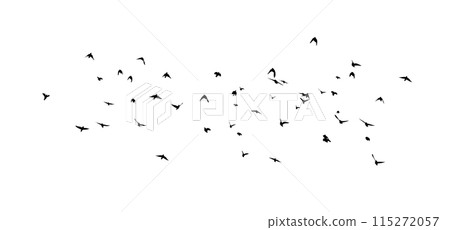 Flying birds silhouette flock. Not AI, Free birds abstraction . Vector illustration 115272057