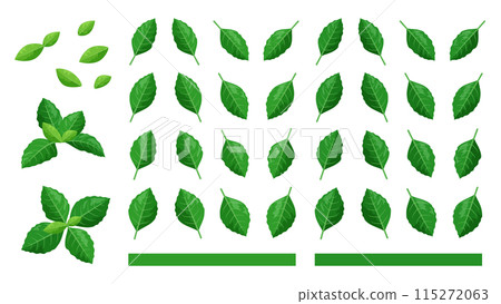 Coffee leaf illustration material set 115272063