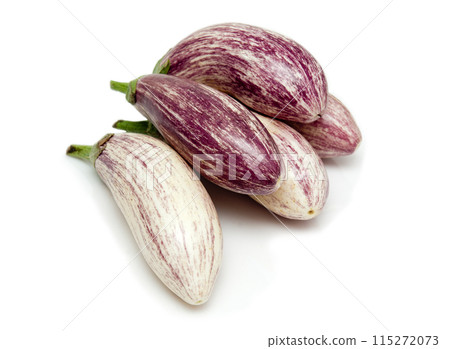 eggplant eggplant 115272073