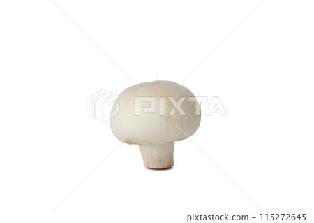 PNG, Whole fresh peeled champignon, isolated on white background PNG, Whole fresh peeled champignon, isolated on white background 115272645