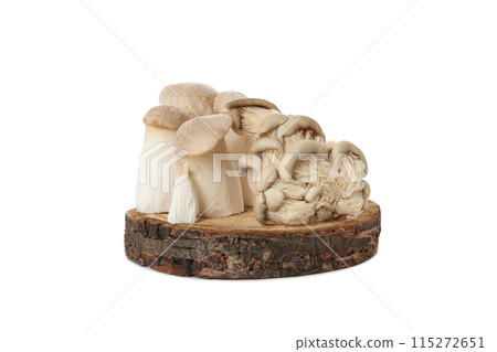 PNG, Set of fresh mushrooms on wooden stand, isolated on white background PNG, Set of fresh mushrooms on wooden stand, isolated on white background 115272651