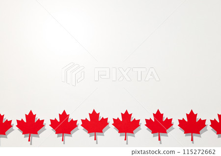 Red maple leaves on a white background 115272662