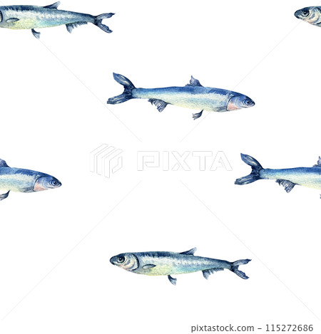 Anchovies small fish on watercolor seamless pattern isolated. Fresh sea fish hand drawn endless background. Sea pattern with fishes. Underwater sea design for package, textile, paper 115272686