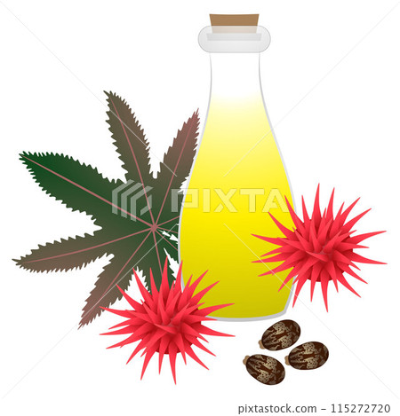 Castor oil bottle with castor fruits, seeds and leaf. Castor oil bottle with castor fruits, seeds and leaf. 115272720