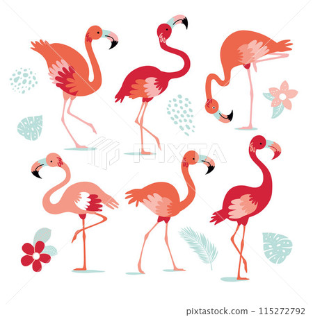 Set of pink flamingos. Exotic bird in different poses. Flamingos with beautiful pink wings. Vector illustration 115272792