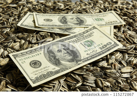 Dollars banknotes and sunflower seeds, oleaginous Commodity value concept. Dollars banknotes and sunflower seeds, oleaginous Commodity value concept. 115272867