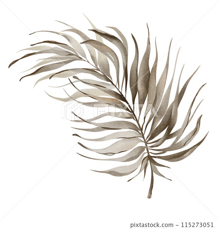 Watercolor areca branch. Palm leaf illustration. Green tropical plant. Exotic botanical on a white background. Silhouette of a lush plant. Jungle flora hand painted. Watercolor areca branch. Palm leaf illustration. Green tropical plant. Exotic botanical on a white background. Silhouette of a lush plant. Jungle flora hand painted. 115273051