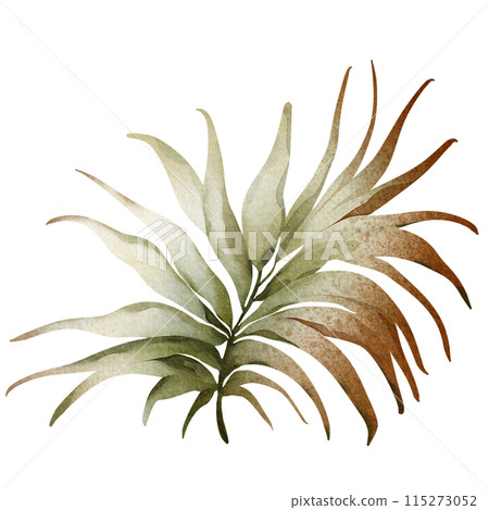 Watercolor areca branch. Palm leaf illustration. Green tropical plant. Exotic botanical on a white background. Silhouette of a lush plant. Jungle flora hand painted. Watercolor areca branch. Palm leaf illustration. Green tropical plant. Exotic botanical on a white background. Silhouette of a lush plant. Jungle flora hand painted. 115273052