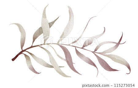 Watercolor areca branch. Palm leaf illustration. Green tropical plant. Exotic botanical on a white background. Silhouette of a lush plant. Jungle flora hand painted. 115273054