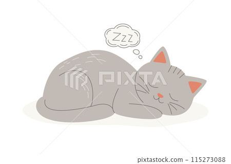 Vector Flat Grey Sleeping Cat. Cartoon Cat Sleeping Icon Isolated. Cute and Funny Cat in Front View Vector Flat Grey Sleeping Cat. Cartoon Cat Sleeping Icon Isolated. Cute and Funny Cat in Front View 115273088