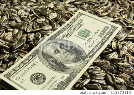Dollars banknotes and sunflower seeds, oleaginous Commodity value concept. Dollars banknotes and sunflower seeds, oleaginous Commodity value concept. 115273110