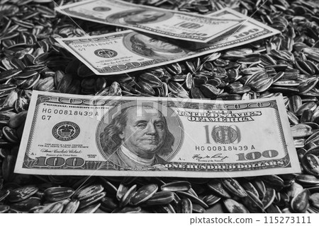 Dollars banknotes and sunflower seeds, oleaginous Commodity value concept. Dollars banknotes and sunflower seeds, oleaginous Commodity value concept. 115273111