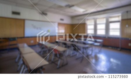 Blur background of library interior with shelves filled with books. Spate. 115273980