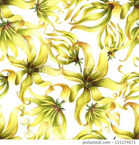 Seamless pattern with ylang ylang flowers. A hand-drawn watercolor illustration. For textiles, wallpapers and backgrounds. For packaging paper and labels, printing and decoration 115274071