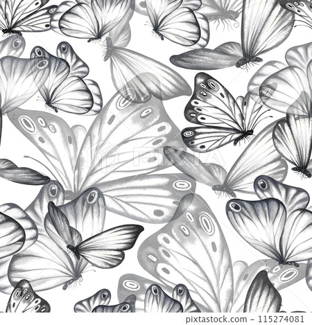 Seamless pattern with grey flying butterflies. A hand-drawn watercolor illustration. For textiles, wallpapers and backgrounds. For packaging paper and labels, printing. For packaging and decoration. 115274081