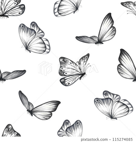 Seamless pattern with grey flying butterflies. A hand-drawn watercolor illustration. For textiles, wallpapers and backgrounds. For packaging paper and labels, printing. For packaging and decoration. 115274085